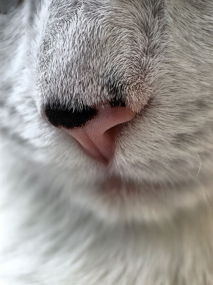 Photograph by Анна Шаповалова