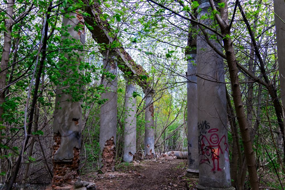 Photograph by Алексей Еремеев