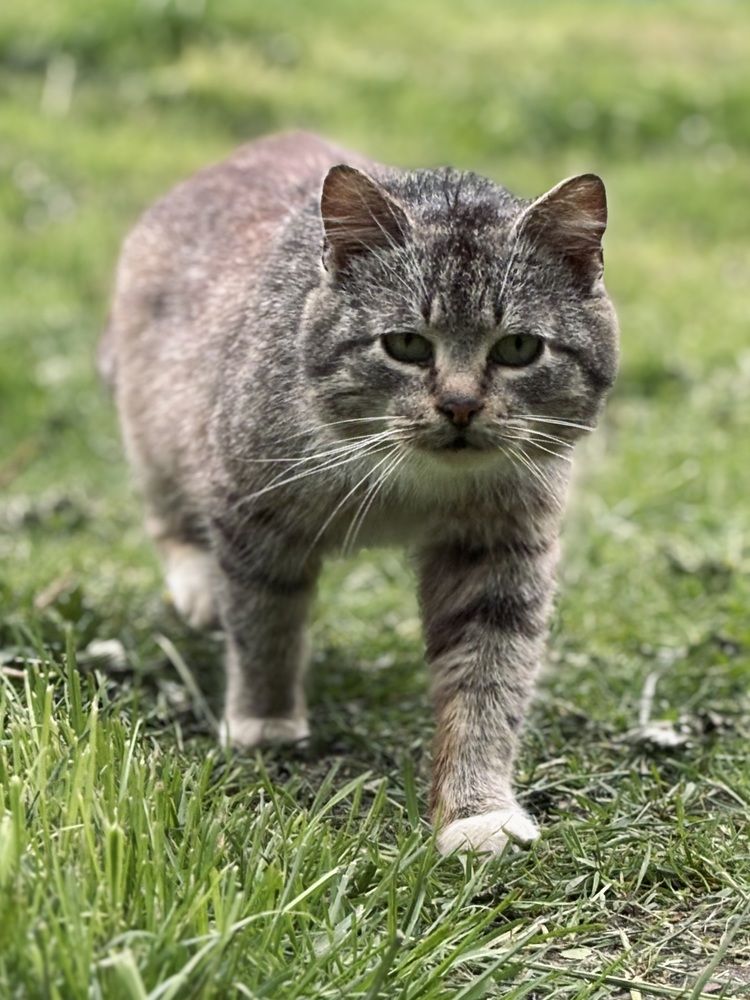 Photograph by Halina Mitsevich