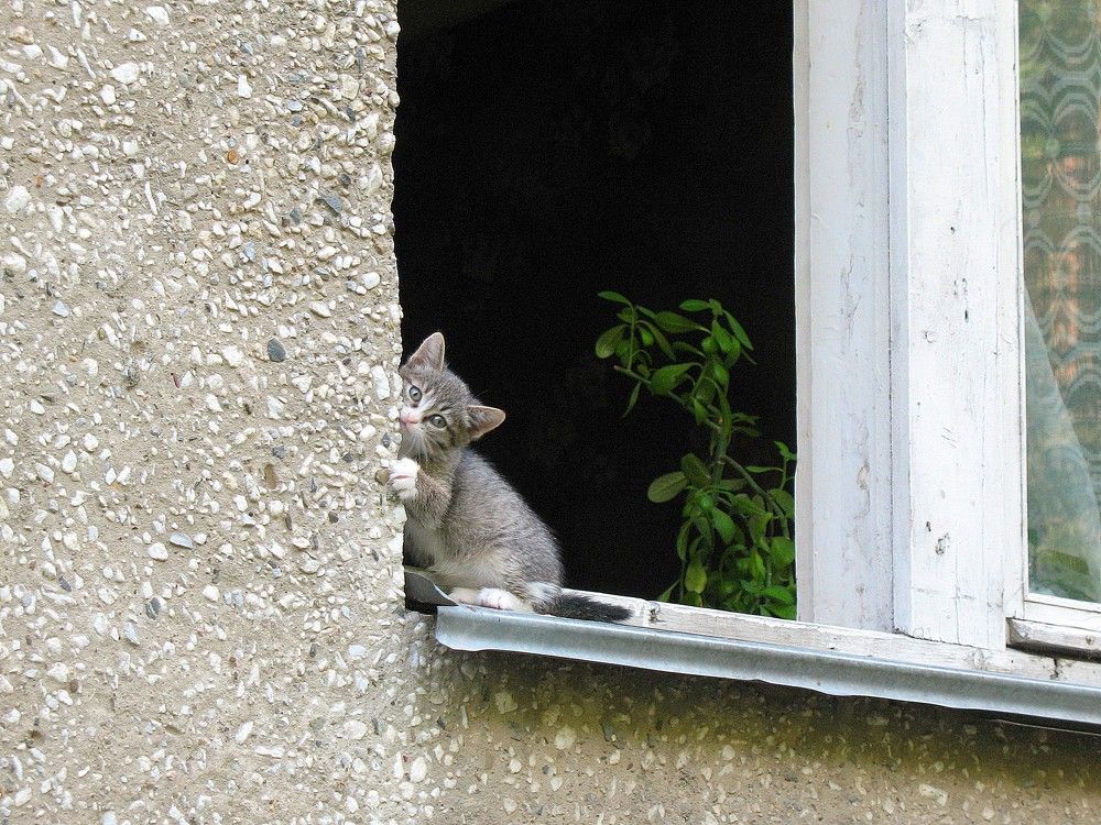 Photograph by Владимир