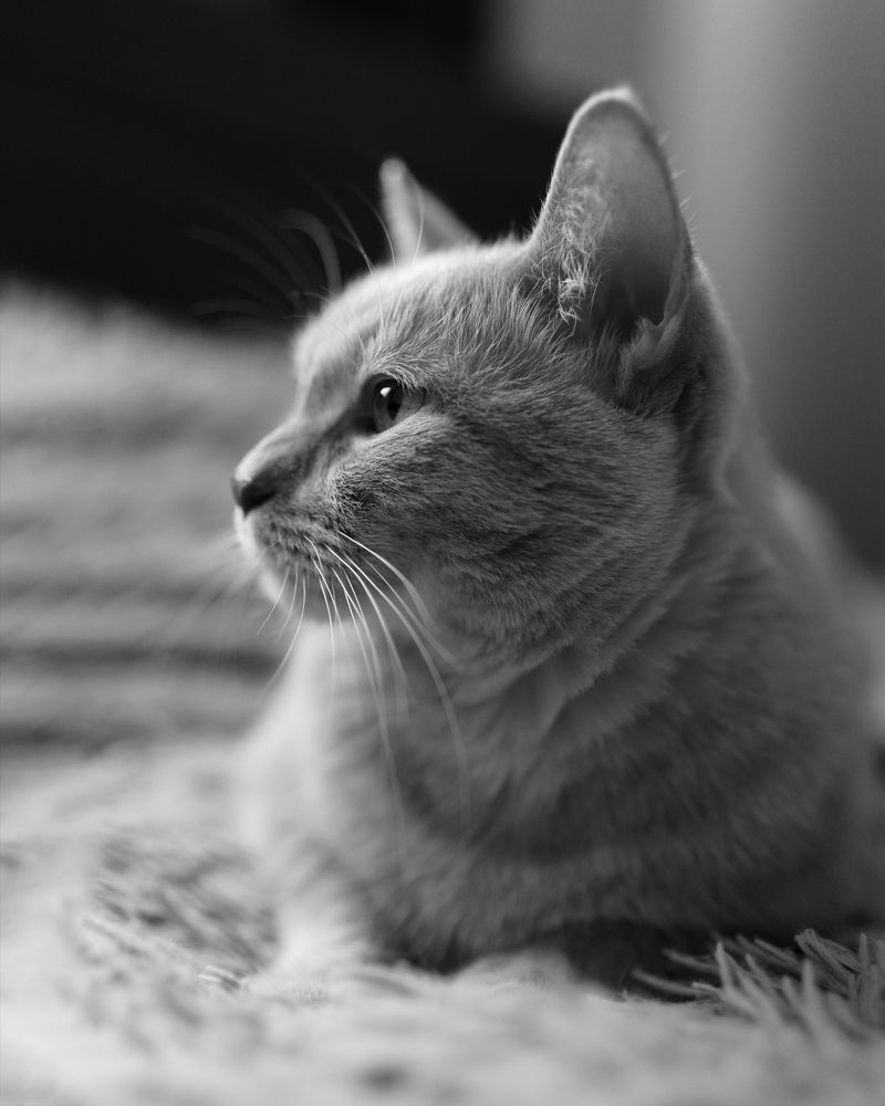 Photograph by Кулишев Николай