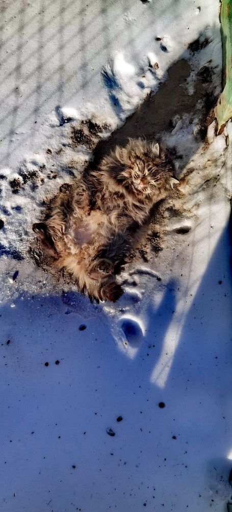 Photograph by Алексей Швайка