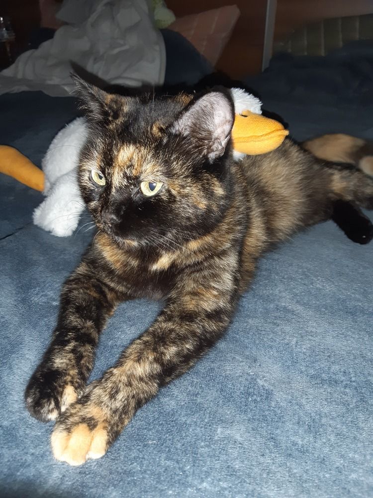 Photograph by Margaryta Siryk