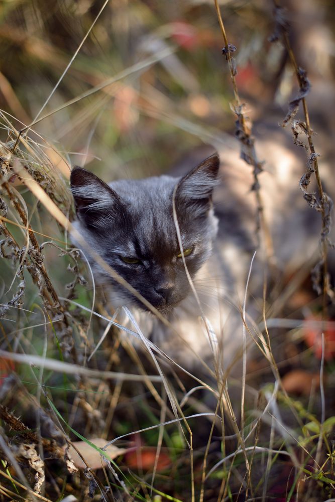 Photograph by Кулишев Николай
