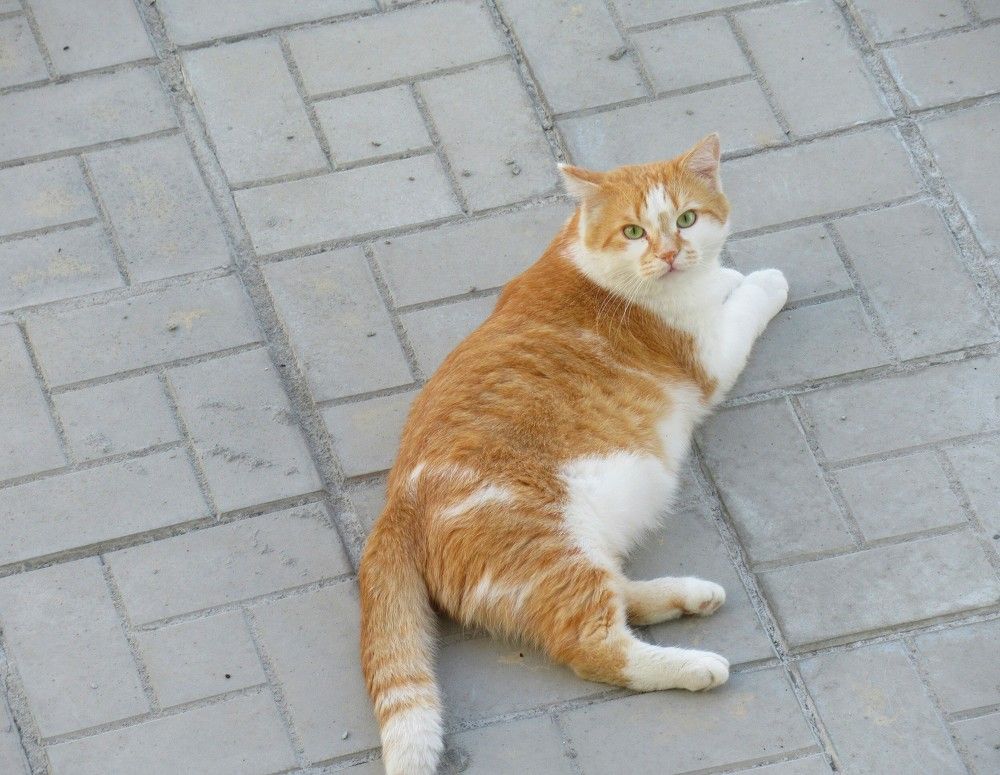 Зачем разбудили?