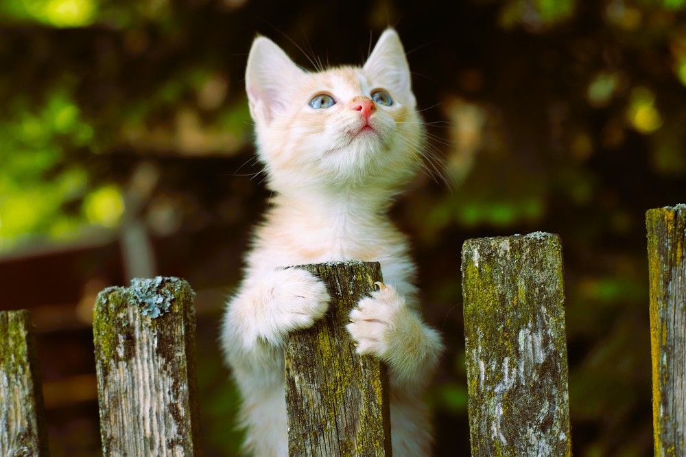 Photograph by Михаил Лупина