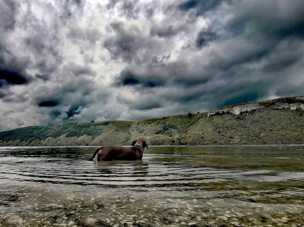 Фотография автора Ольга Тенилова