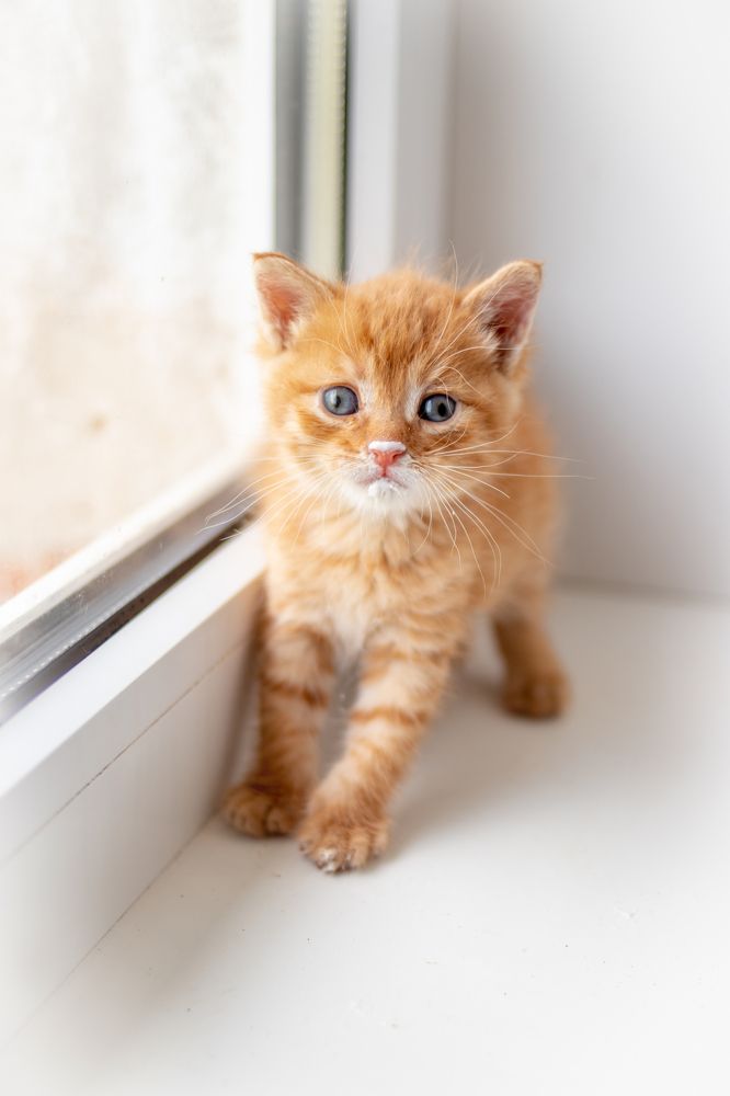 Photograph by Эльвира Грызлова