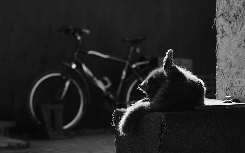 Photograph by Мария