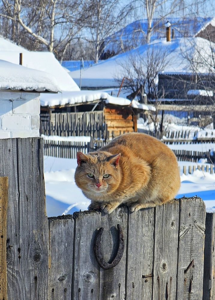 Photograph by Ольга Веселова