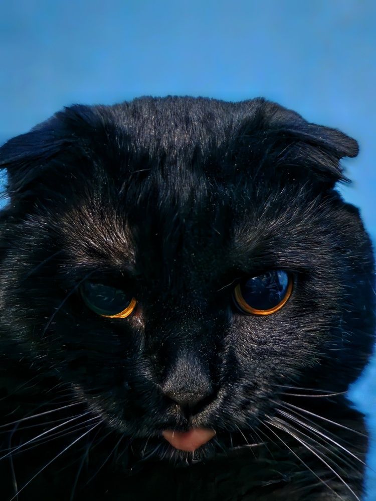 Photograph by Ольга Веселова