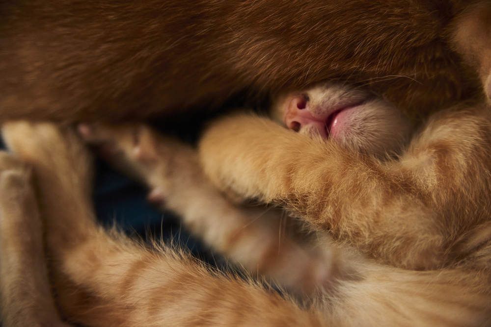 Photograph by Tran Duy Nam