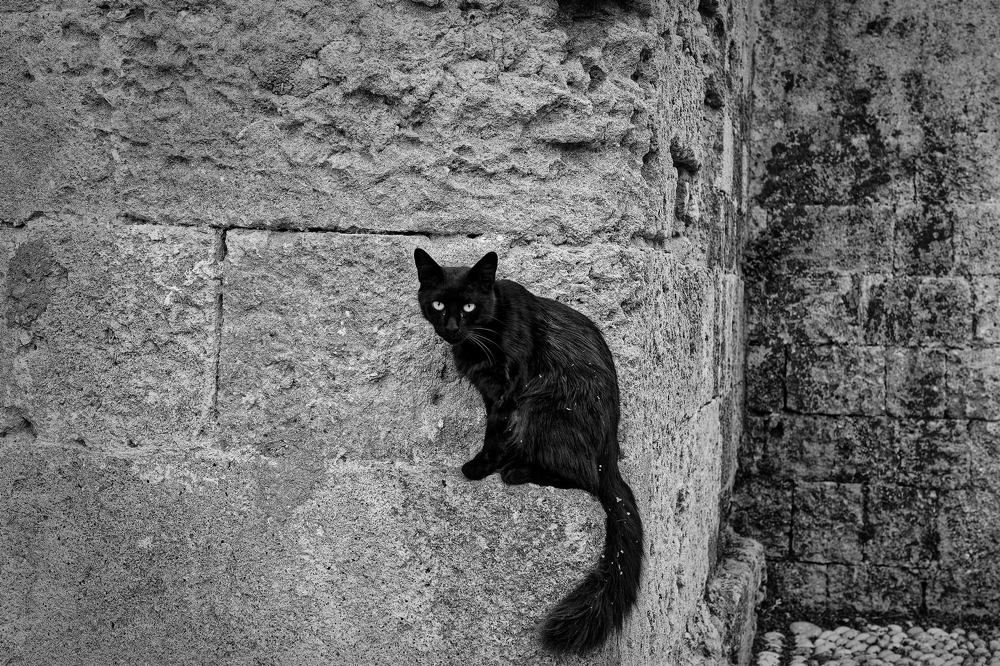 Фотография автора David Solodar