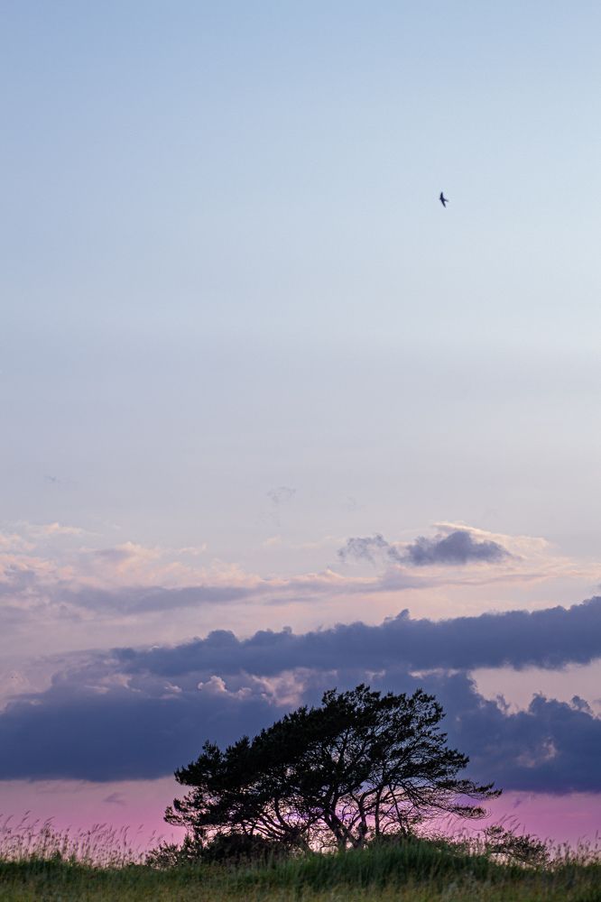 Фотография автора Alyona Madsen