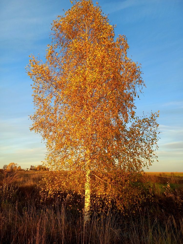 Photograph by Яна