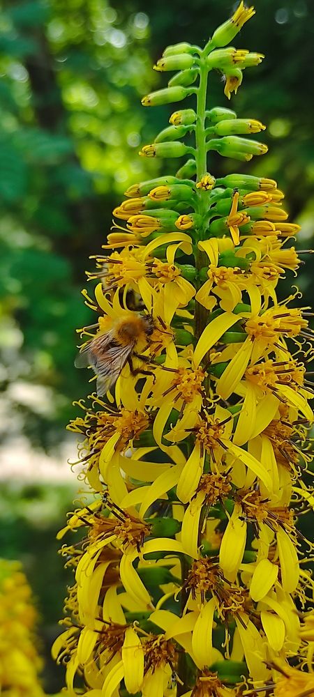 Photograph by Мария