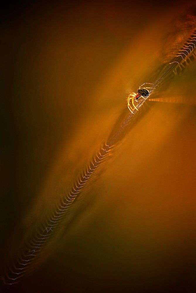 Photograph by Vlado Pirša