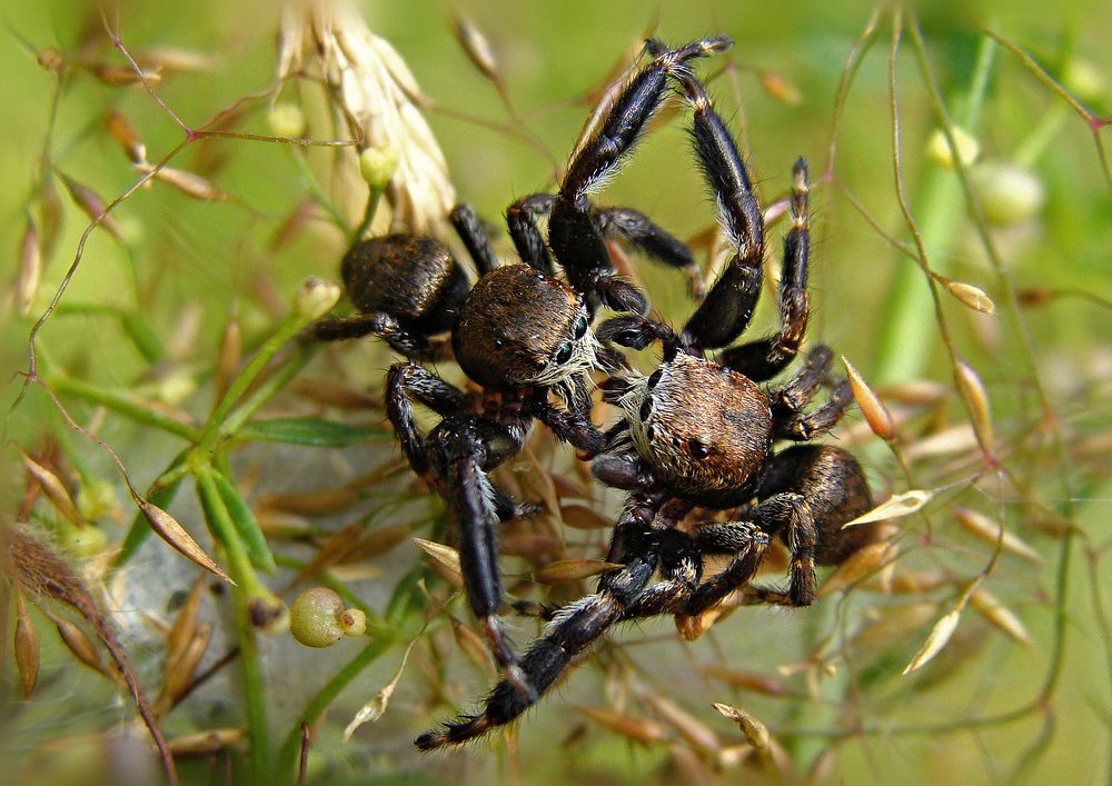 Photograph by Павел Колеснев