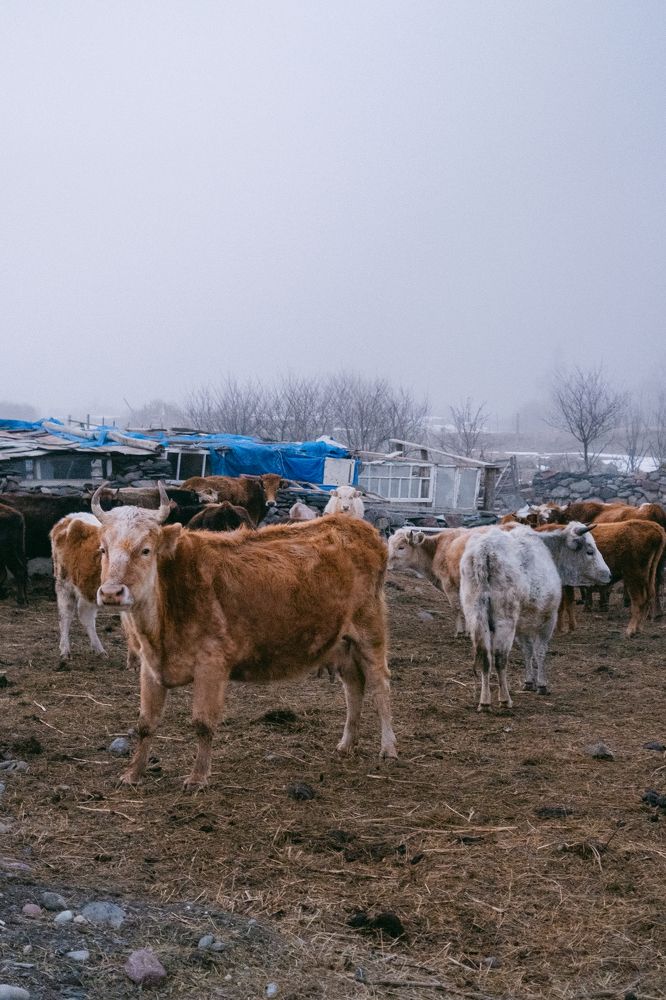 Photograph by Ольга Леоненко