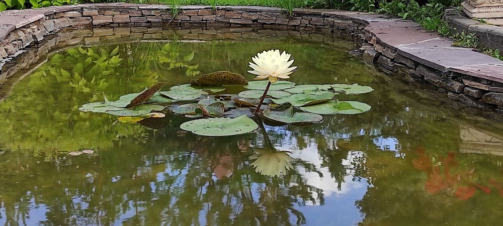 Photograph by Мария