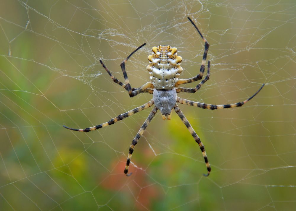 Photograph by Павел Колеснев