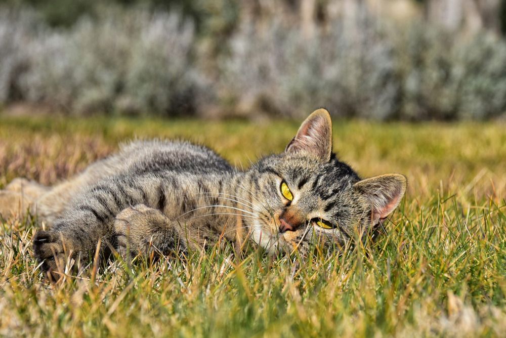 Фотография автора Мария