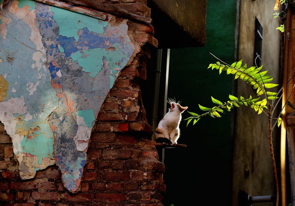 Photograph by Bekir Yesiltas