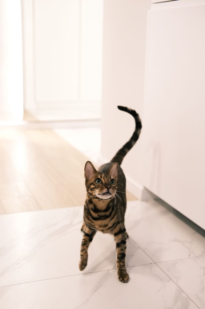 Photograph by Ольга Леоненко