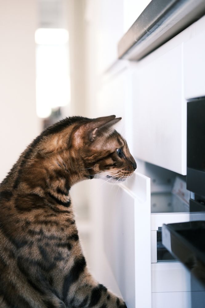 Photograph by Ольга Леоненко