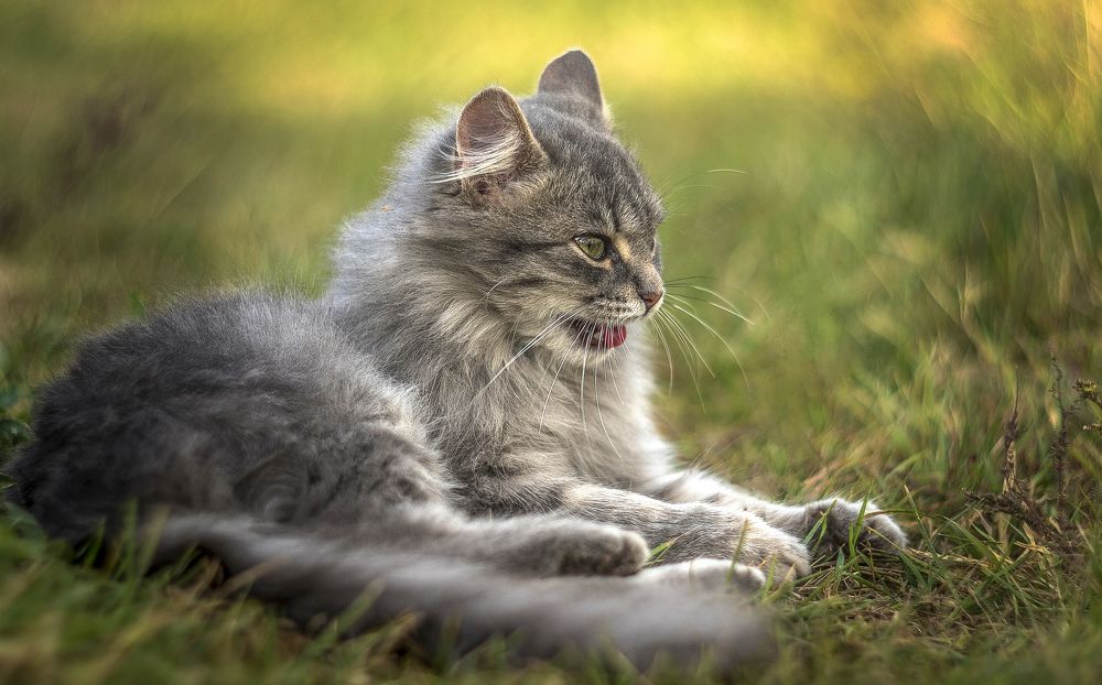 Photograph by Александр Сыроватка