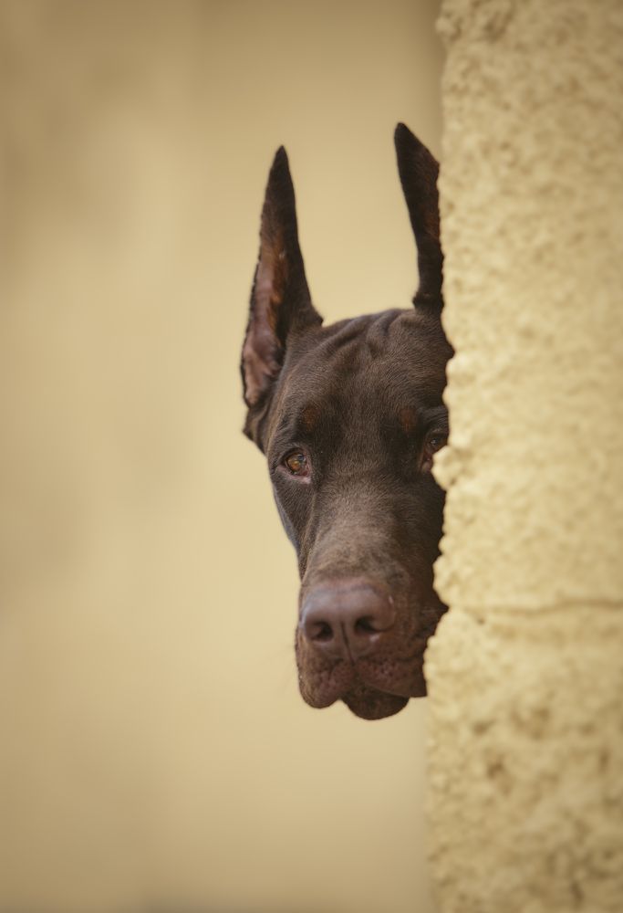 Photograph by Мария Клещенко