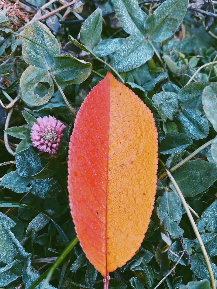 Photograph by Юля Комкина