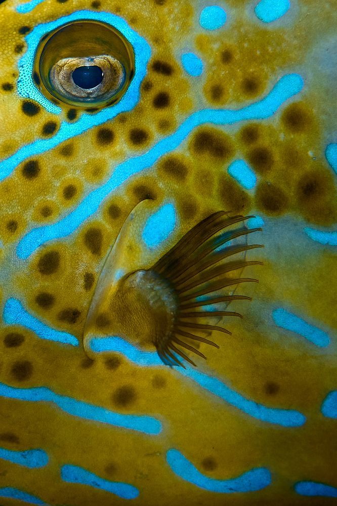 Photograph by Denis Timchenko