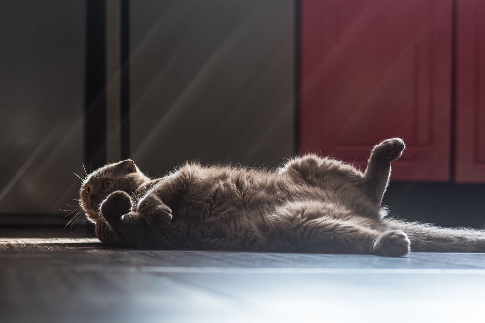 Photograph by Pavel S