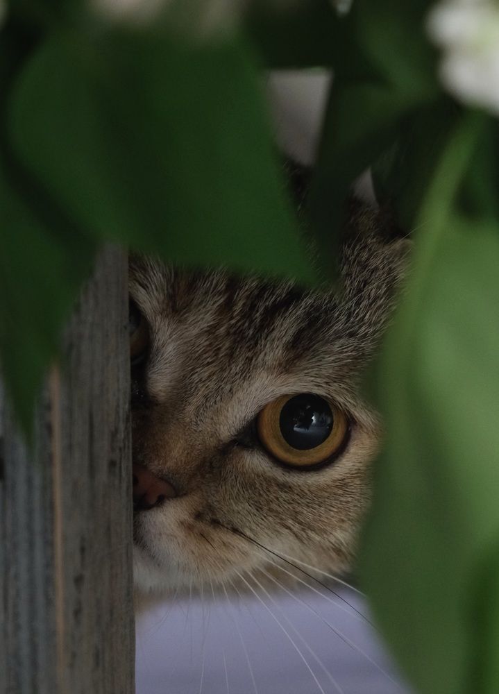 Photograph by Яна Истоцкая