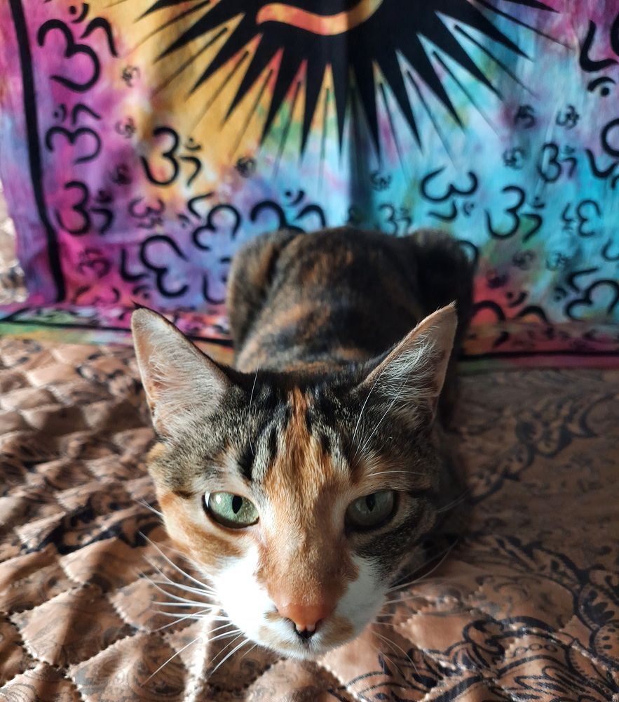 Photograph by Сергей Выржиковский