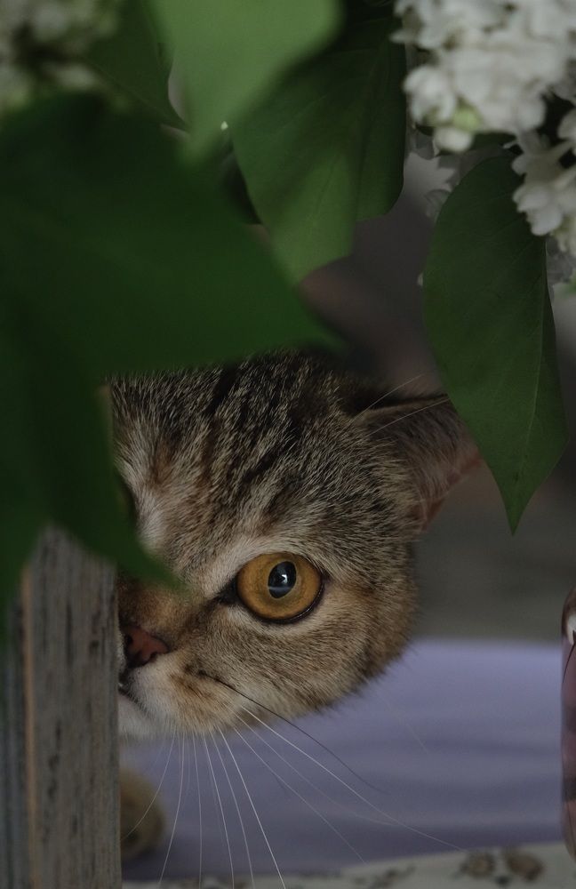 Photograph by Яна Истоцкая