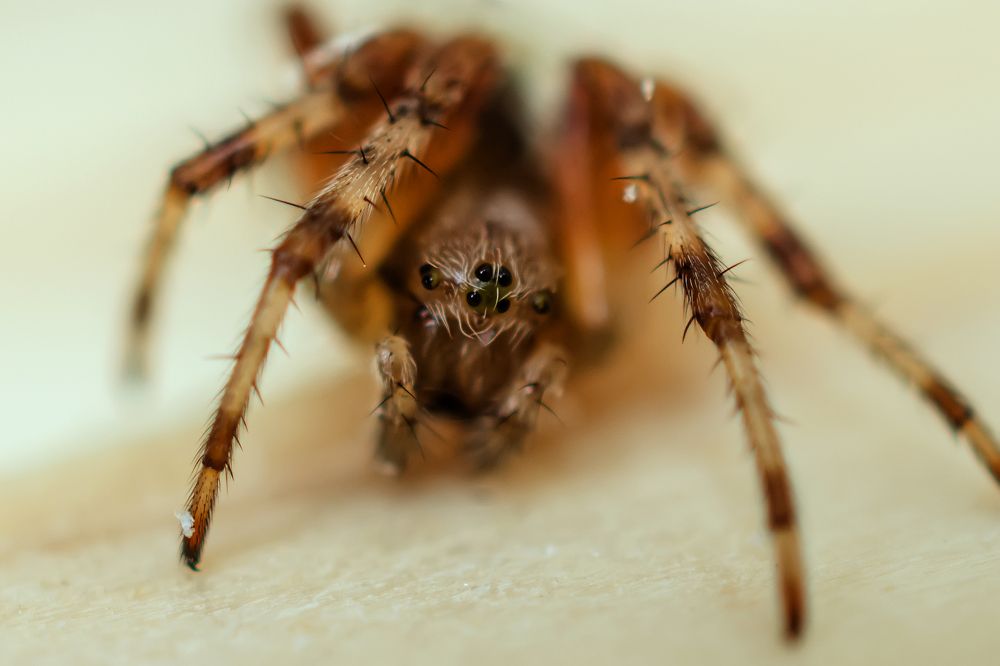 Photograph by Сергей Немчинов