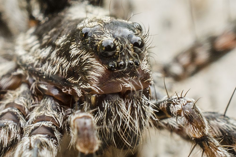 Photograph by Сергей Немчинов