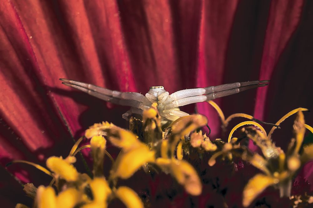 Photograph by Сергей Немчинов