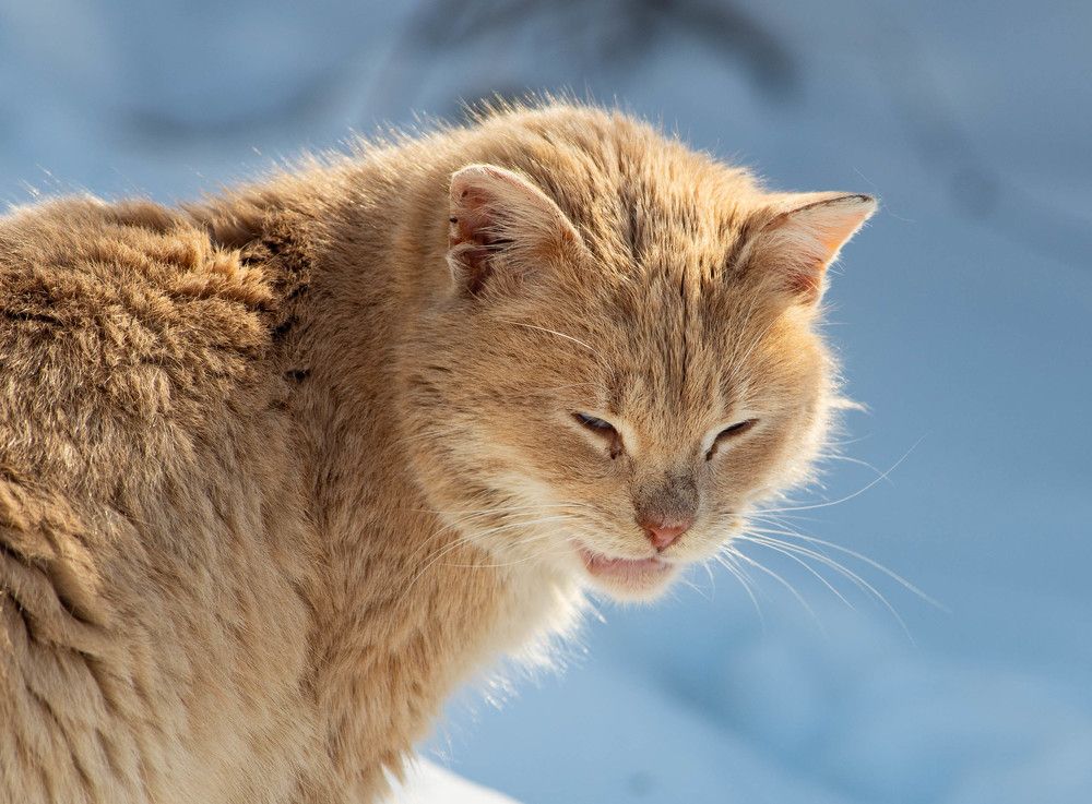 Фотография автора Владимир Оликов