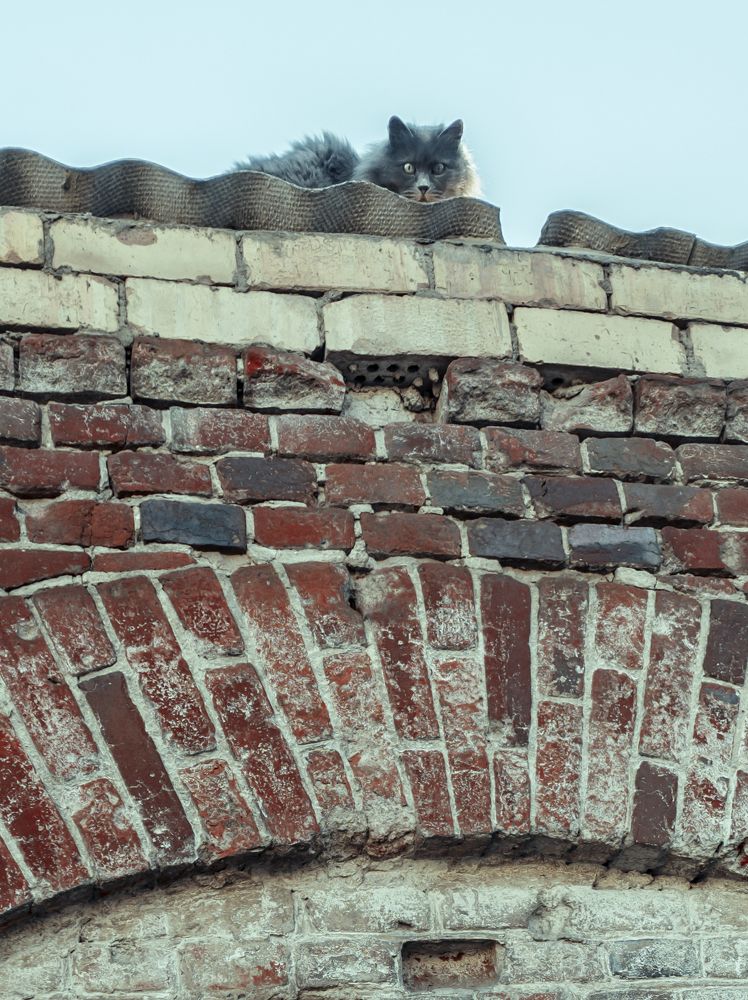 Photograph by Виктор Карпухин