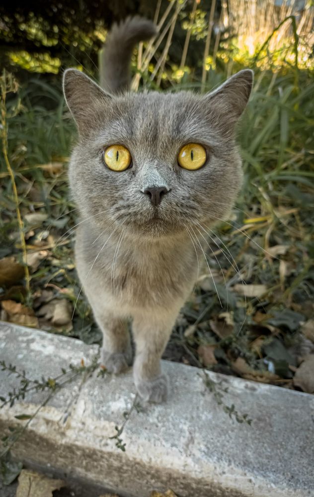 Photograph by Лариса Пасечник