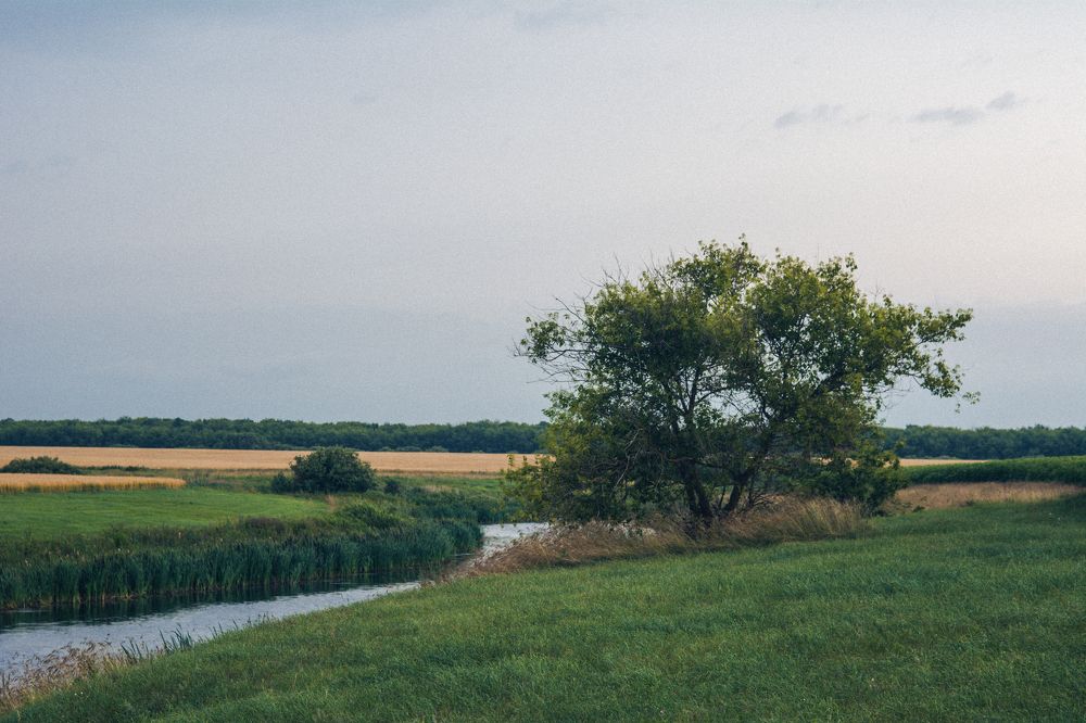 Фотография автора Максим Штормов