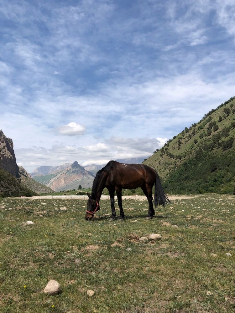 Повторение вершин