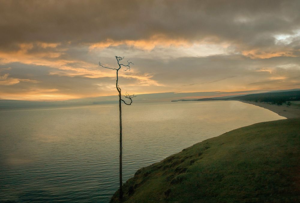 Photograph by Сергей Метелица