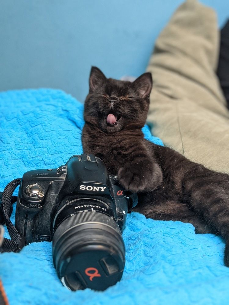 Фотография автора Ксения Шляйхер