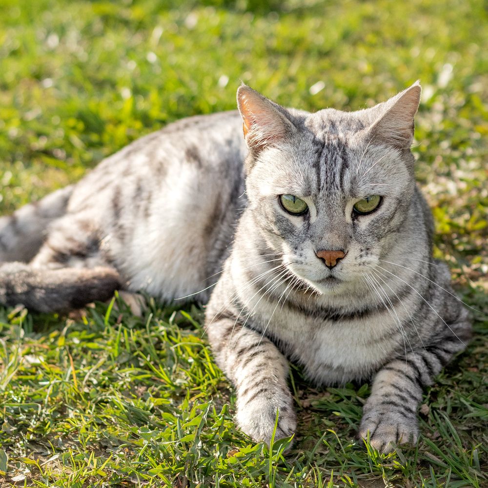 Photograph by Анастасия Лученок