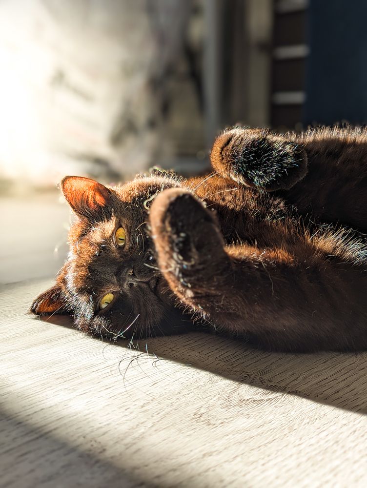 Фотография автора Ксения Шляйхер