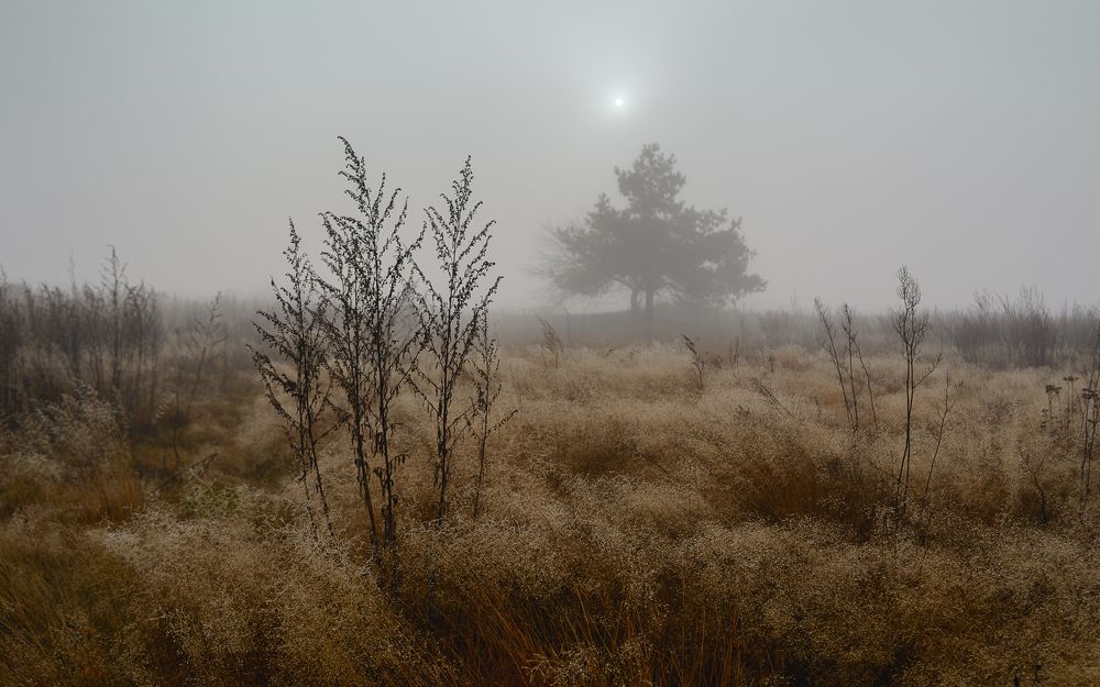 Photograph by Сергей Дишук